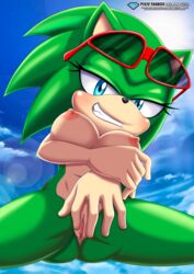 scourge the hedgehog from sega by bbmbbf