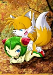 alien_girl anthro anthro_penetrating bbmbbf cosmo_the_seedrian doggy_style female from_behind interspecies male mobius_unleashed nude nude_female nude_male palcomix plant_girl plant_humanoid sex sonic_(series) sonic_the_hedgehog_(series) sonic_x tails