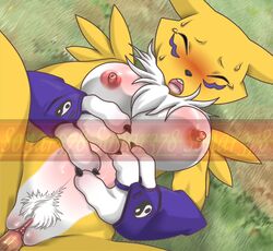 anthro digimon digimon_tamers renamon sonar378