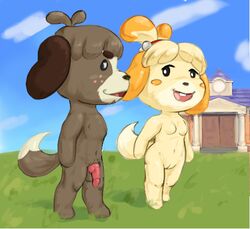 accurate_art_style animal_crossing animal_genitalia animal_penis anthro balls breasts brother_and_sister canid canine canine_penis canis casual casual_nudity cloud digby_(animal_crossing) domestic_dog duo female genitals grass isabelle_(animal_crossing) male mammal nintendo nude nudist opposite_sex_twins penis plant public pussy siblings sky solo town_hall tranquillement video_games