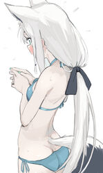 shirakami fubuki from hololive by kujira pasta