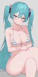 hatsune miku from vocaloid by eikawa suru