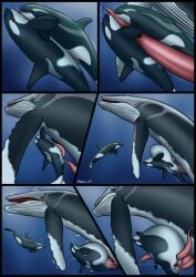 ambiguous_penetration anal anal_sex animal_genitalia animal_penis anus baleen_whale black_body blue_eyes blue_markings bodily_fluids cetacean cetacean_genitalia cetacean_penis comic cum cum_in_ass cum_inside dolorcin dolphin dorsal_fin erection extreme_penetration extreme_size_difference female female_feral female_penetrated feral feral_on_feral feral_penetrated feral_penetrating feral_penetrating_feral fin flukes gaping gaping_anus genital_fluids genital_slit genitals green_eyes grey_body group hi_res humpback_whale inflation interspecies intraspecies isha_(dosfin) male male/female male/male male_feral male_penetrated male_penetrating male_penetrating_female male_penetrating_male mammal marine markings oceanic_dolphin orca palequin pectoral_fin penetration penile penile_penetration penis penis_in_ass ridiculous_fit sex size_difference smaller_penetrated stomach_bulge tapering_penis toothed_whale trio underwater water whale white_body