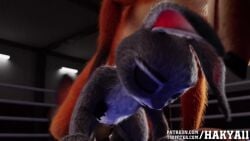 1boy 1girls 3d 3d_animation all_fours animal_genitalia animated anthro anthro_on_anthro disney female fox from_behind fur furry grey_fur hakya11 judy_hopps kneeling longer_than_10_seconds longer_than_30_seconds longer_than_5_seconds longer_than_one_minute male male/female nick_wilde no_sound orange_fur penis_in_pussy rabbit sex shorter_than_two_minutes straight tagme tail_wagging vaginal vaginal_penetration vaginal_sex video wagging_tail white_fur zootopia