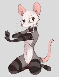 4_fingers =djoyk= american_opossum anthro armwear bedroom_eyes black_clothing black_collar black_footwear black_legwear black_socks black_thigh_highs black_thigh_socks buckled_collar cheek_tuft chest_tuft clothing collar countershading digital_media_(artwork) elbow_gloves eyelashes facial_tuft female fingers flat_chested footwear genitals gloves grey_clothing grey_footwear grey_legwear grey_socks grey_thigh_highs grey_thigh_socks handwear hi_res humanoid_genitalia humanoid_vulva kneeling leg_tuft legwear mammal marsupial mostly_nude narrowed_eyes neck_tuft pattern_armwear pattern_clothing pattern_elbow_gloves pattern_footwear pattern_gloves pattern_handwear pattern_legwear pattern_socks pattern_thigh_highs pattern_thigh_socks pink_inner_ear pink_nose pussy rat_tail seductive seiza sitting skinny socks solo striped_armwear striped_clothing striped_elbow_gloves striped_footwear striped_gloves striped_handwear striped_legwear striped_socks striped_thigh_highs striped_thigh_socks stripes tail thigh_highs thigh_socks thigh_tuft tuft vulva whiskers white_head