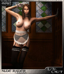 2005 3d danny_(artist) female female_only human lara_croft lara_croft_(classic) maid solo stockings tagme tomb_raider