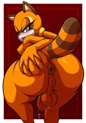 marine the raccoon from sega by damian hodge
