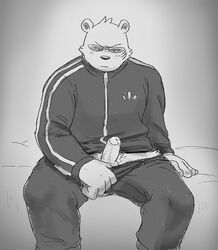 1boy anthro black_and_white clothed clothing erection eyewear genitals glasses male male_only mammal monochrome nissei_(artist) odd_taxi penis polar_bear sekiguchi_(odd_taxi) solo tracksuit ursid ursine zipper