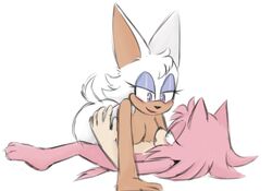 absurd_res amy_rose anthro big_ears breasts chiropteran duo eulipotyphlan female female/female fluffy fluffy_tail fur hedgehog hi_res hottopicpiss mammal pink_body pink_fur rouge_the_bat sega sonic_(series) sonic_the_hedgehog_(series) white_body white_fur yuri