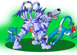 digimon flamedramon garurumon glenn knot male_only veemon