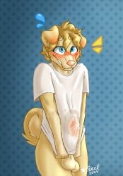 2025 anthro awkward_smile balls bird_dog blonde_hair blue_eyes blush blushing_profusely bodily_fluids bottomless bottomless_anthro bottomless_male canid canine canis claude_(pixxilatedwolf) clothed clothing clothing_pull colored covering covering_self curled_hair curled_tail digital_drawing_(artwork) digital_media_(artwork) domestic_dog ear_blush embarrassed erection erection_under_clothing femboy floppy_ears fur genital_fluids genitals golden_retriever hair hi_res humanoid_genitalia humanoid_penis hunting_dog male mammal penis pink_nose pixxilatedwolf precum precum_through_clothing retriever shaded shirt signature simple_background smile solo surprised surprised_expression surprised_face sweatdrop_(iconography) t-shirt tail thick_thighs topwear wet wet_clothing white_clothing white_shirt white_topwear yellow_body yellow_fur