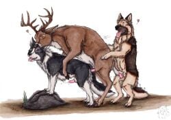 2022 anal anal_orgasm anal_sex artist_logo black_body black_fur bodily_fluids border_collie brown_body brown_fur canid canine canis collie cum cumshot dated deer domestic_dog ejaculation erection feral feral_on_feral feral_penetrated feral_penetrating feral_penetrating_feral from_behind_position fur genital_fluids genitals german_shepherd group group_sex hands-free herding_dog kola_(artist) logo male male/male male_penetrated male_penetrating male_penetrating_male mammal open_mouth orange_eyes orgasm pastoral_dog penetration penile penile_penetration penis penis_in_ass pink_penis pink_tongue rock sex sheepdog side_view simple_background tan_body tan_fur threesome tongue tongue_out train_position trio white_background white_body white_fur