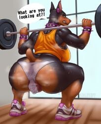 anthro anus ass canine_pussy dobermann female from_behind furry gym kultist lifting_weights nikki_(aromatic_hyena) see_through_clothing sweat