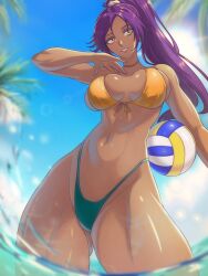 shihouin yoruichi from bleach by opalisart