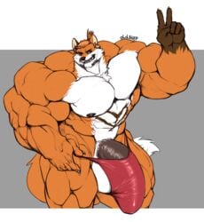 1male 5_fingers abs anthro balls ballsack beefy biceps big_balls big_muscles big_penis body_fur brown_markings canid canine chest_tuft claws clothed clothing dick_root fangs fingernails fingers fox fur genitals gesture gloves_(marking) hair hair_bun huge_balls huge_cock huge_muscles hyper hyper_balls hyper_genitalia hyper_muscles hyper_penis male male_focus male_nipples male_only male_solo male_thong mammal markings masculine mature_male muscular muscular_anthro muscular_male muscular_thighs nails navel nipples oldshep orange_body orange_fur orange_hair pecs penis pubes pubic_hair quads scrotum shirtless simple_background smile smooth_fur solo solo_male testicles thong topless tuft underwear underwear_only v_sign veiny_penis white_body white_fur