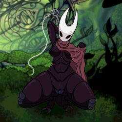 ablazemosquit0 ass asshole asshole_opened_wide blue_pussy bug_girl cum cum_in_ass cum_in_pussy hornet_(hollow_knight) insect_girl insect_humanoid insectoid looking_at_viewer looking_back looking_pleasured pussy segmented_body silksong thorax_(body_part)