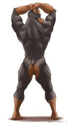 2018 5_fingers anthro ass balls black_body black_fur blue_eyes brown_body brown_fur canid canine canis domestic_dog fingers fur genitals male male_only mammal mastiff molosser multicolored_body multicolored_fur muscular muscular_male nude rottweiler sampsonwoof short_tail signature simple_background solo story_at_source two_tone_body two_tone_fur v-cut white_background