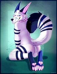 absurd_res anthro arctic_fox ass bedroom_eyes blizzard_(blizzyfox) blush canid canine collar fox hi_res male male_focus male_only male_solo mammal narrowed_eyes paws presenting presenting_hindquarters raised_tail seductive sharkguts solo solo_male