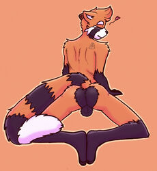 2020 3_toes ailurid anthro ass balls dark_balls feet fur genitals hi_res humanoid_genitalia looking_at_viewer male mammal mars_(solarlewds) multicolored_body multicolored_fur nude orange_body orange_eyes orange_fur presenting presenting_hindquarters red_panda simple_background solarlewds solo toes two_tone_body two_tone_fur white_body white_fur