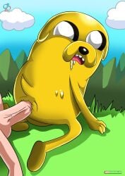 adventure_time anal anal_sex anus balls bbmbbf cartoon_network dog gay jake_the_dog male male/male male_only open_mouth palcomix penis rear_deliveries sex tongue yaoi zoophilia