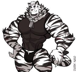 anthro arknights balls bara barazoku bulge darknaigart flaccid furry male male_only mountain_(arknights) muscles muscular penis solo solo_male tiger