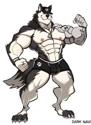 anthro balls bara barazoku bulge canine canine darknaigart domestic_dog flaccid furry husky male male_only mechanical_arm muscles muscular penis solo solo_male underwear underwear_only