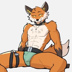 abs bulge canine fennix_(fortnite) fortnite fox green_eyes jrjresq male male_focus male_only muscular_male pecs underwear