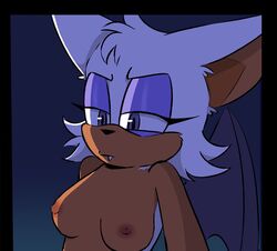 anthro breasts chiropteran duo echidna fangs female fluffy hottopicpiss male/female mammal monotreme nipples rouge_the_bat sega sonic_(series) sonic_the_hedgehog_(series)