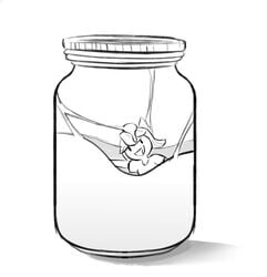 1girls artist_request cum cum_bath cum_in_jar cum_jar female female_focus female_only jaiden jaiden_animations jaidenanimations jar meme minigirl person_in_cum_jar person_in_jar tagme unaware_evaporation youtube youtuber