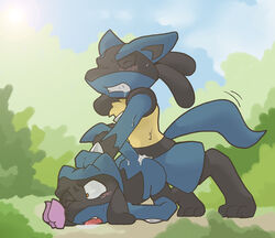 emerald_physics lucario male/ambiguous nintendo pokemon pokemon_(species) riolu