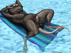 2010 anthro frickabee full_body grey_fur lying male male_only master_splinter nude on_back partially_submerged penis pool_toy rat solo tagme teenage_mutant_ninja_turtles