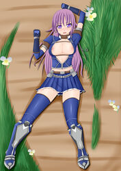 asuru monster_hunter purple_hair tagme