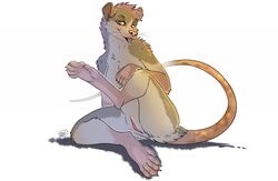 2017 5_toes anthro anus biped feet female fur genitals grey_body grey_fur hair mammal murid murine nude pink_eyes pink_hair pussy rat rodent simple_background solo tiger_blueberry toes tongue whiskers white_background