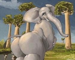 1girls anthro anus ass ass_focus big_ass big_butt butt butt_crack butt_focus elephant elephantid female female_only huge_ass huge_butt javanshir large_ass looking_at_viewer looking_back mammal proboscidean rear_view solo solo_female trunk tusks