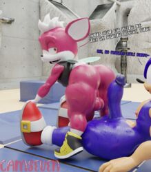 2boys 3d anthro ass balls big_penis camseven chip_(sonic) clothing erection fat_ass femboy footwear gay handwear hedgehog imminent_anal imminent_sex light_gaia male male_only mostly_nude penis sonic_(series) sonic_the_hedgehog sonic_unleashed sweaty thick_thighs workout yaoi