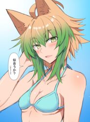 atalanta_(fate) bikini catgirl fate/apocrypha fate/grand_order fate_(series) nahu small_breasts tagme