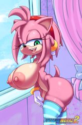 amy rose from sonic (series) by ichduhernz