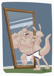 anthro male_only mirror rocko rocko's_modern_life tagme