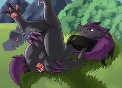 anal anal_juice anal_sex anthro anus ass duskguard female fur genitals grey_body grey_fur hair hi_res improvised_sex_toy legs_up nintendo pawpads paws penetration pokémon_(species) poke_ball poke_ball_insertion pokemon pokemon_(species) purple_hair pussy shiny_pokemon solo splayed_toes spread_butt spreading video_games zoroark