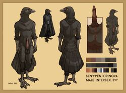 1boy anthro anus avian balls bird cloak clothing corvid corvus_(genus) crow cuntboy feathers full-package_cuntboy genitals herm hermaphrodite hi_res intersex jagal male maleherm model_sheet multi_genitalia oscine passerine penis pussy seny'pen_kirinova solo tail_feathers talons