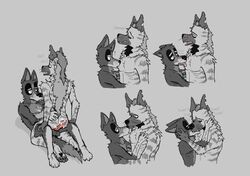 anthro ass bodily_fluids breath canid canine canis cowgirl_position cum cum_inside cum_on_butt cum_on_chest cum_on_partner domestic_dog drooling drooling_on_partner duo ejaculation french_kissing from_front_position genital_fluids grabbing_hips hi_res hyaenid kissing male male/male mammal on_bottom on_top panting rear_view ricthecusco saliva sex size_difference skinny small_dom_big_sub striped_hyena tongue tongue_out whiskers