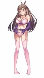 1girls bare_shoulders blush bra brown_eyes brown_hair cleavage commission elbow_gloves fingerless_gloves fire_emblem fire_emblem_awakening garter_belt gloves hair_ornament hilmeen large_breasts long_hair looking_at_viewer panties pink_panties solo sumia_(fire_emblem) thighhighs underwear