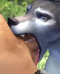 <1_second_video 1boy 1girls 3d animated anthro athletic_female ball_lick ball_licking ballsurfing batesz blowjob canine face_fucking fellatio female human human_on_anthro human_penetrating interspecies light-skinned_male long_tongue male male/female male_human/female_anthro mp4 no_sound oral oral_penetration penis_on_face saliva_string shorter_than_10_seconds sweaty throat_fuck tongue tongue_out_blowjob vertical_video video warcraft were werecanid werecanine werewolf werewolf_girl worgen worgen_female world_of_warcraft