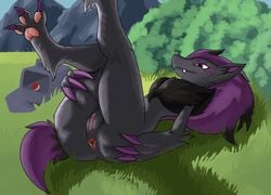 anus ass duskguard female fur furry genitals grey_body grey_fur hair hi_res legs_up nintendo no_humans pawpads paws pokémon_(species) pokemon pokemon_(species) purple_hair pussy shiny_pokemon solo splayed_toes spread_butt spreading video_games zoroark