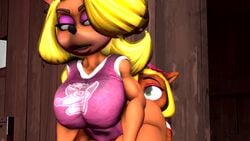 2girls 3d animated ass_on_face big_ass big_breasts big_butt black_nose blonde_hair coco_bandicoot crash_(series) eyes_closed facesitting fart fart_fetish farting farting_in_face female_only fetishtrash green_eyes looking_back mp4 no_sound smile tawna_bandicoot video yuri