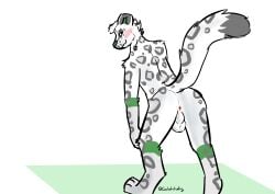 absurd_res anthro anticipation anus ass backsack balls bent_over blush coalcolorhusky felid genitals hi_res karno_(coalcolorhusky) male mammal nude pantherine presenting presenting_anus presenting_hindquarters simple_background smile snow_leopard solo standing tail white_background white_body
