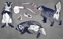 2024 absurd_res american_badger animal_genitalia anus badger balls erection feral genitals hi_res male mammal mirrdae model_sheet mustelid musteline penis pussy sheath solo technesaurus vulva