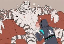 2boys abs ai_generated anthro anthro_on_human arknights armpits balls bara big_balls big_muscles big_nipples big_pecs big_penis daddy ddkk dilf doctor_(arknights) erect_nipples erection felid feline fur gay hair handjob huge_balls huge_cock huge_muscles huge_pecs human human_on_anthro hunk interspecies larger_anthro larger_male male male/male male_focus male_only mountain_(arknights) muscular muscular_anthro muscular_human muscular_male naked naked_male navel nude pantherine pecs penis pubic_hair sex size_difference smaller_human smaller_male striped_fur sweat tiger white_fur yaoi