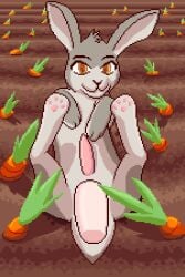 2:3 anal anal_sex animal_genitalia animal_penis carrot digital_media_(artwork) disembodied_penis duo farm feral feral_penetrated first_person_view food genitals hare hrelterskrelter human lagomorph lagomorph_penis leporid looking_at_viewer lying male male/male mammal on_back penetration penis pixel_(artwork) plant rabbit scut_tail short_tail tail vegetable