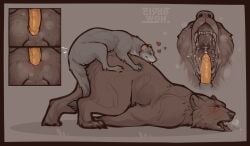absurd_res anal anal_sex animal_genitalia anthro anus ass balls bear blow-job blush bodily_fluids close-up clyde_wolf cum cum_in_mouth cum_inside digital_media_(artwork) domestic_ferret duo erection feral fur genital_fluids genitals hair hi_res humanoid_genitalia humanoid_penis hybrid_genitalia hybrid_penis male male/male male_penetrated male_penetrating male_penetrating_male mammal musk musk_clouds mustelid musteline nude open_mouth penetration penile penis saliva sex sheath sheathed_humanoid_penis simple_background size_difference small_dom_big_sub smile sweat tail teeth tongue true_musteline weasel